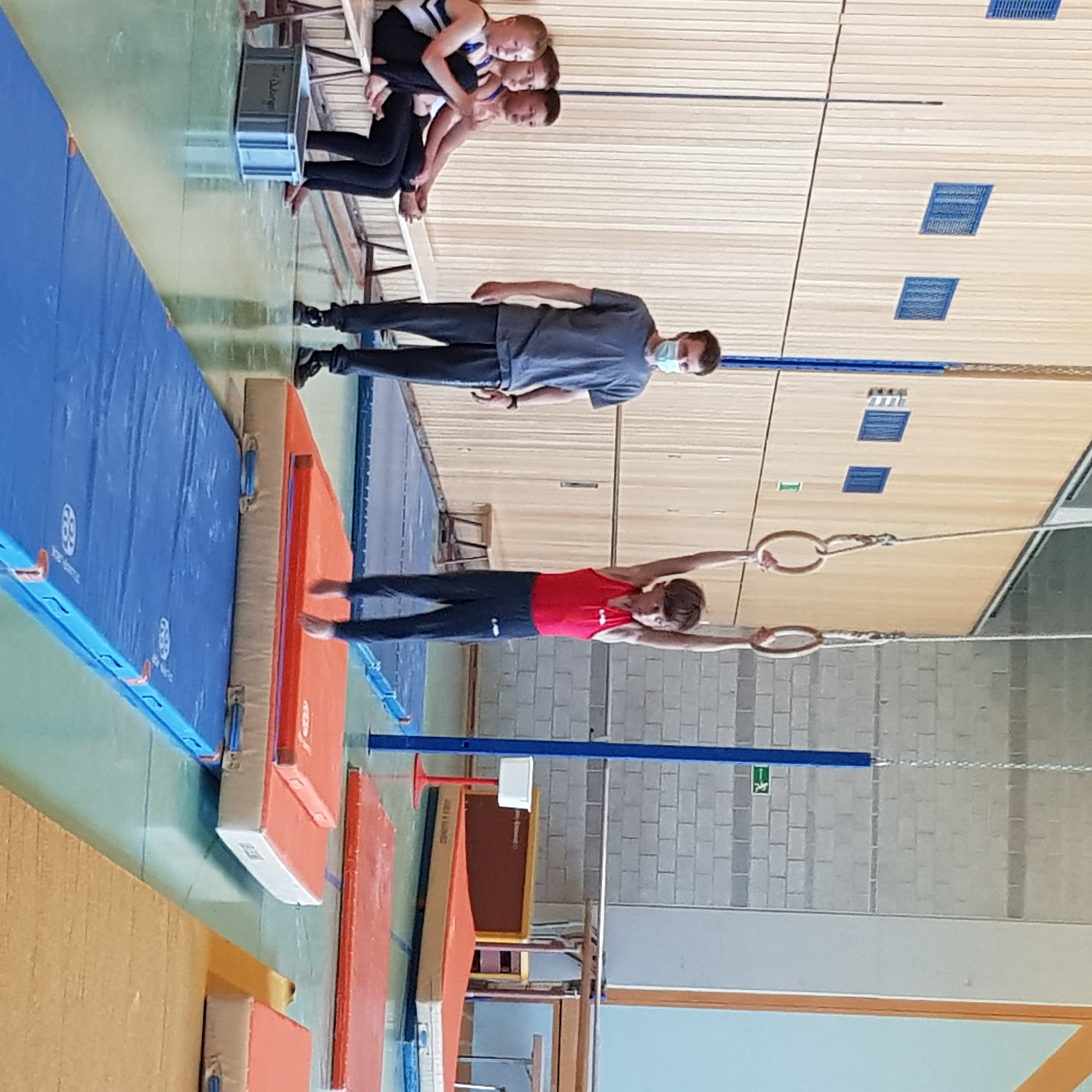 Bild  (37)